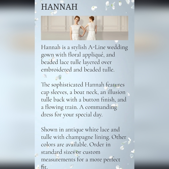 New! Darryl Jagga Hannah A-Line Floral Applique Wedding Dress Embellished Belt - Picture 5 of 16